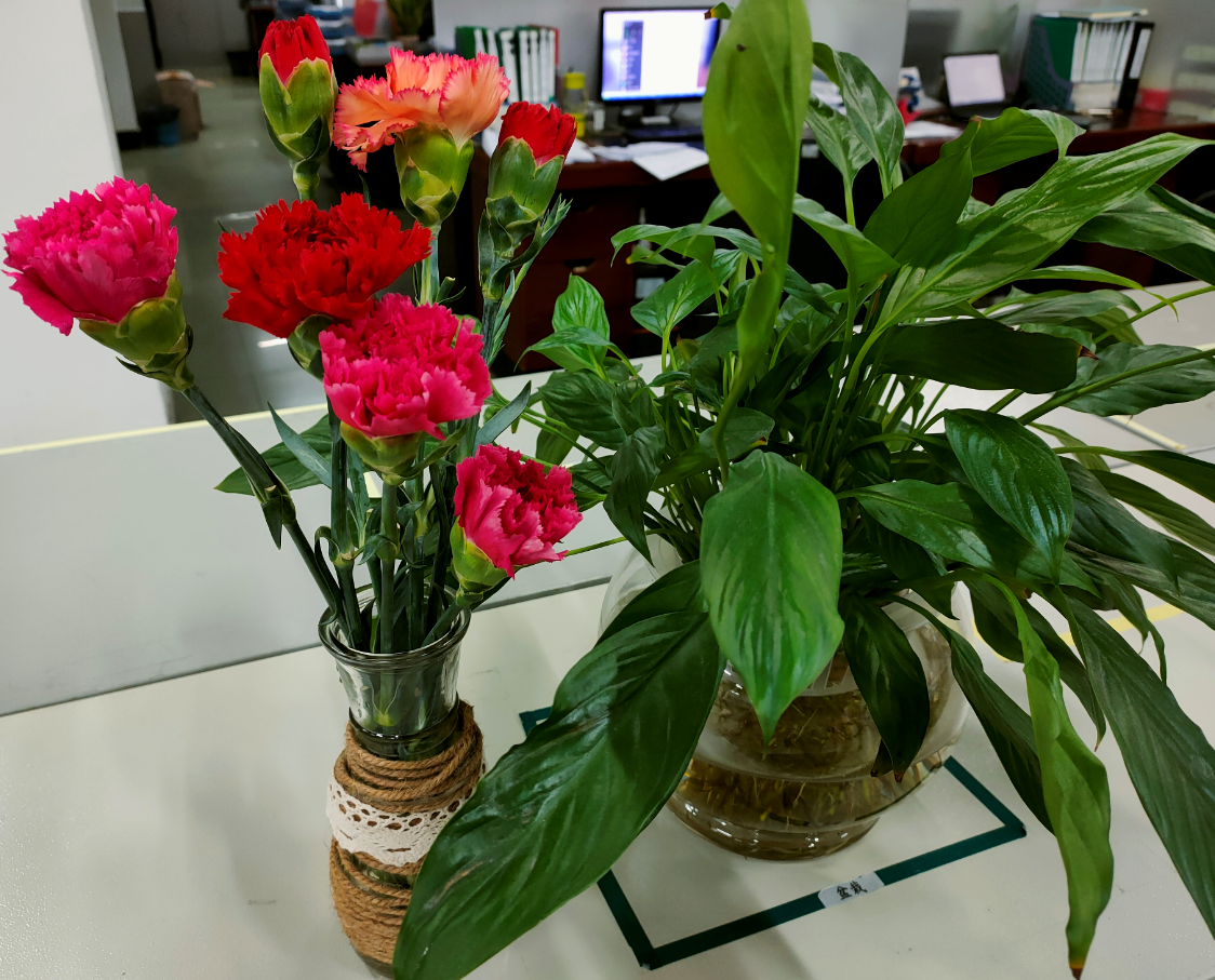 J9����|����վ����